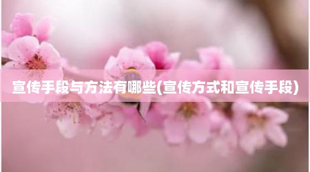 宣传手段与方法有哪些(宣传方式和宣传手段)