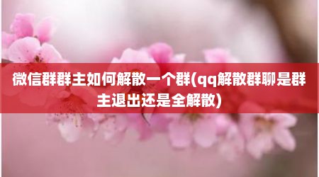 微信群群主如何解散一个群(qq解散群聊是群主退出还是全解散)