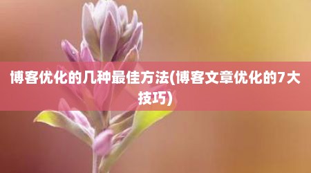 博客优化的几种最佳方法(博客文章优化的7大技巧)