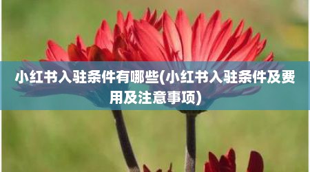 小红书入驻条件有哪些(小红书入驻条件及费用及注意事项)