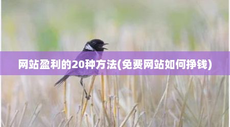 网站盈利的20种方法(免费网站如何挣钱)