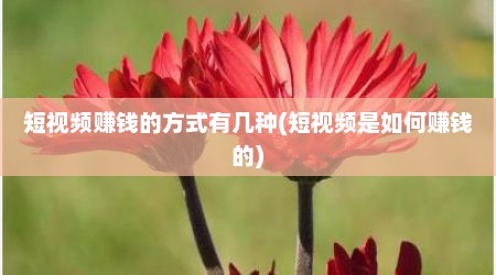 短视频赚钱的方式有几种(短视频是如何赚钱的)