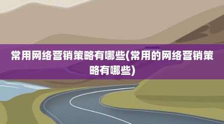 常用网络营销策略有哪些(常用的网络营销策略有哪些)