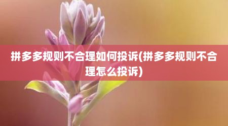 拼多多规则不合理如何投诉(拼多多规则不合理怎么投诉)