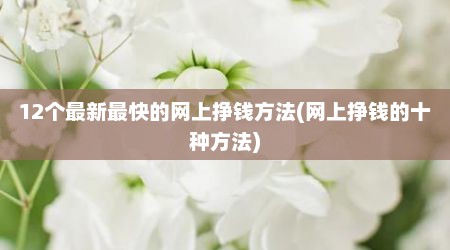 12个最新最快的网上挣钱方法(网上挣钱的十种方法)