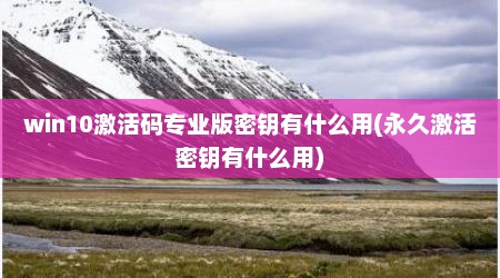 win10激活码专业版密钥有什么用(永久激活密钥有什么用)