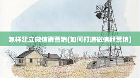 怎样建立微信群营销(如何打造微信群营销)
