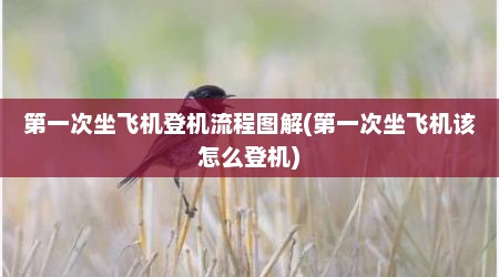 第一次坐飞机登机流程图解(第一次坐飞机该怎么登机)