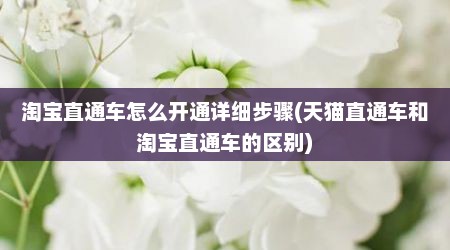 淘宝直通车怎么开通详细步骤(天猫直通车和淘宝直通车的区别)