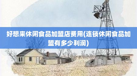 好想来休闲食品加盟店费用(连锁休闲食品加盟有多少利润)