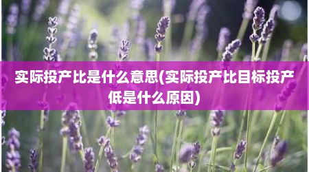 实际投产比是什么意思(实际投产比目标投产低是什么原因)