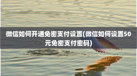 微信如何开通免密支付设置(微信如何设置50元免密支付密码)