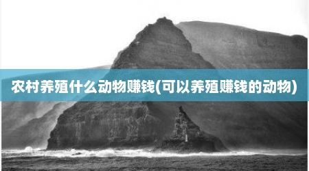 农村养殖什么动物赚钱(可以养殖赚钱的动物)