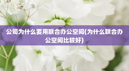 公司为什么要用联合办公空间(为什么联合办公空间比较好)
