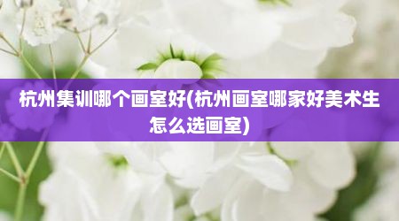 杭州集训哪个画室好(杭州画室哪家好美术生怎么选画室)