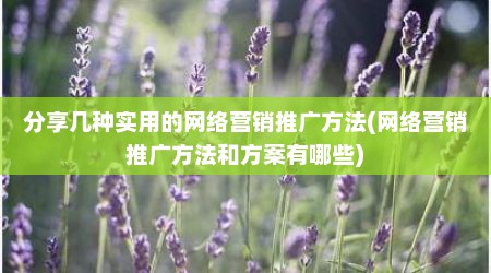 分享几种实用的网络营销推广方法(网络营销推广方法和方案有哪些)
