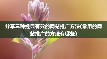 分享三种经典有效的网站推广方法(常用的网站推广的方法有哪些)