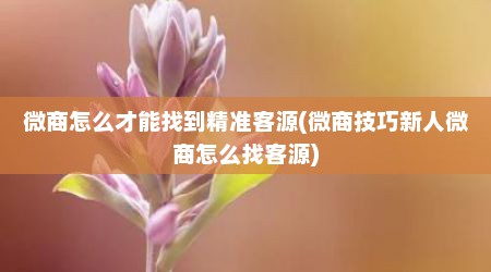 微商怎么才能找到精准客源(微商技巧新人微商怎么找客源)