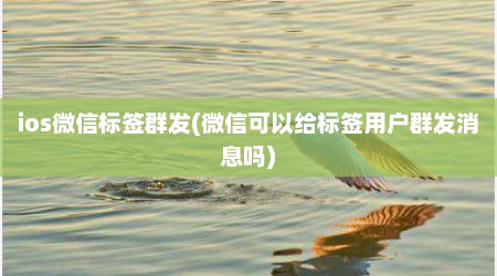 ios微信标签群发(微信可以给标签用户群发消息吗)