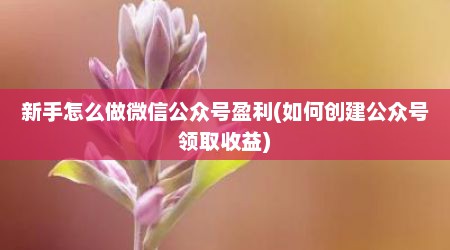 新手怎么做微信公众号盈利(如何创建公众号领取收益)