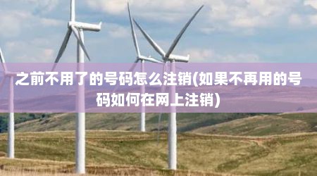 之前不用了的号码怎么注销(如果不再用的号码如何在网上注销)