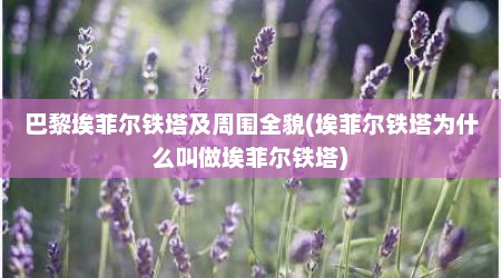 巴黎埃菲尔铁塔及周围全貌(埃菲尔铁塔为什么叫做埃菲尔铁塔)