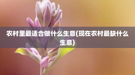 农村里最适合做什么生意(现在农村最缺什么生意)