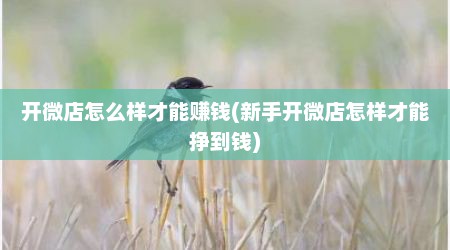 开微店怎么样才能赚钱(新手开微店怎样才能挣到钱)