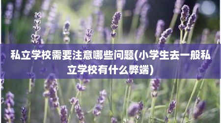 私立学校需要注意哪些问题(小学生去一般私立学校有什么弊端)