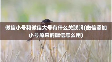 微信小号和微信大号有什么关联吗(微信添加小号原来的微信怎么用)