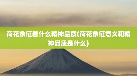 荷花象征着什么精神品质(荷花象征意义和精神品质是什么)