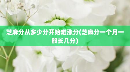 芝麻分从多少分开始难涨分(芝麻分一个月一般长几分)