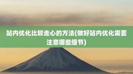 站内优化比较走心的方法(做好站内优化需要注意哪些细节)