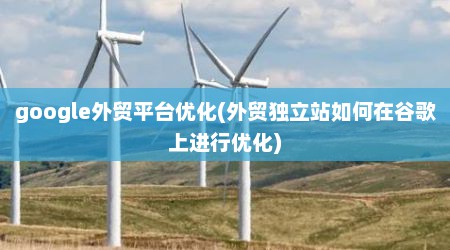 google外贸平台优化(外贸独立站如何在谷歌上进行优化)