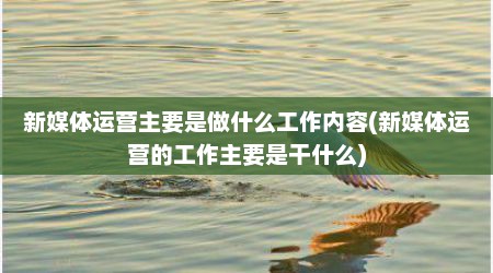 新媒体运营主要是做什么工作内容(新媒体运营的工作主要是干什么)