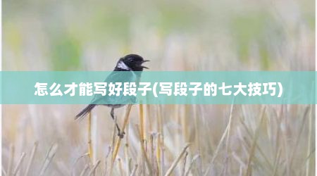 怎么才能写好段子(写段子的七大技巧)