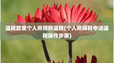 退税政策个人所得税退税(个人所得税申请退税操作步骤)