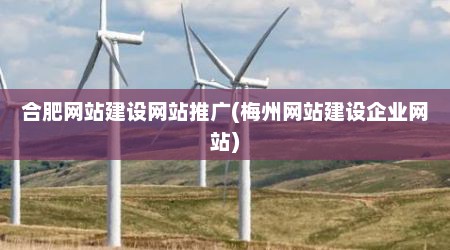合肥网站建设网站推广(梅州网站建设企业网站)