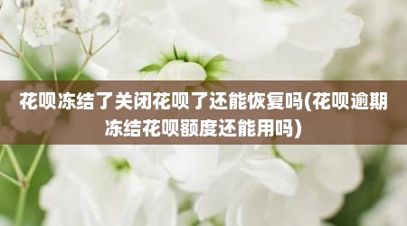 花呗冻结了关闭花呗了还能恢复吗(花呗逾期冻结花呗额度还能用吗)