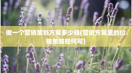 做一个营销策划方案多少钱(营销方案里的价格策略如何写)