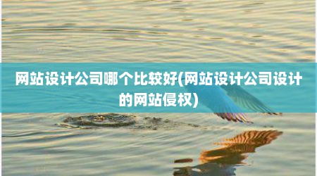 网站设计公司哪个比较好(网站设计公司设计的网站侵权)