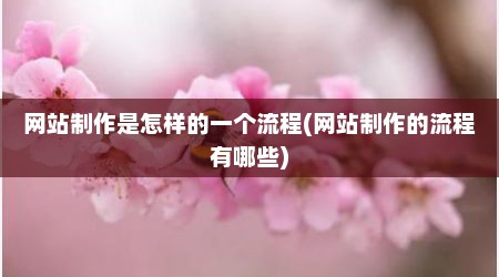 网站制作是怎样的一个流程(网站制作的流程有哪些)