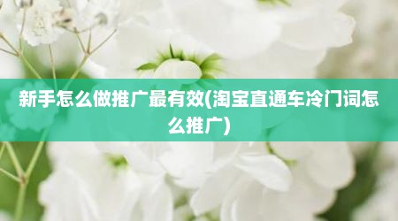 新手怎么做推广最有效(淘宝直通车冷门词怎么推广)