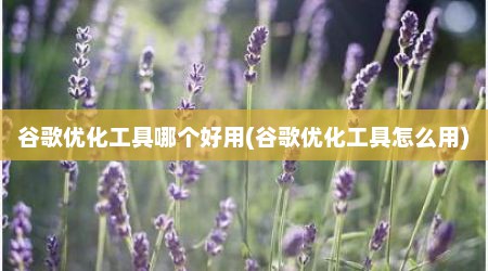 谷歌优化工具哪个好用(谷歌优化工具怎么用)