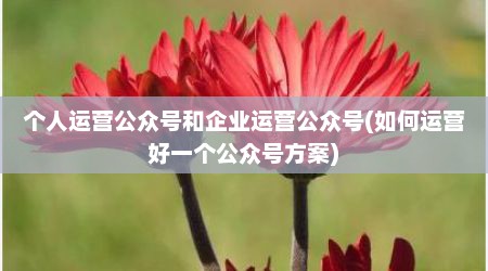 个人运营公众号和企业运营公众号(如何运营好一个公众号方案)