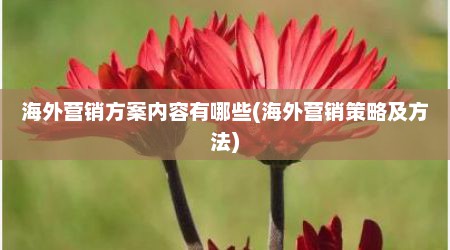 海外营销方案内容有哪些(海外营销策略及方法)