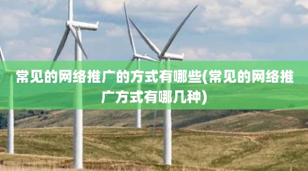 常见的网络推广的方式有哪些(常见的网络推广方式有哪几种)