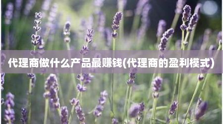 代理商做什么产品最赚钱(代理商的盈利模式)