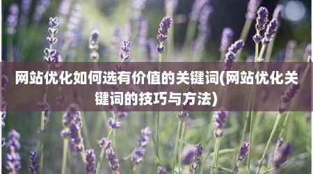 网站优化如何选有价值的关键词(网站优化关键词的技巧与方法)