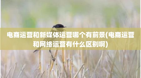 电商运营和新媒体运营哪个有前景(电商运营和网络运营有什么区别啊)